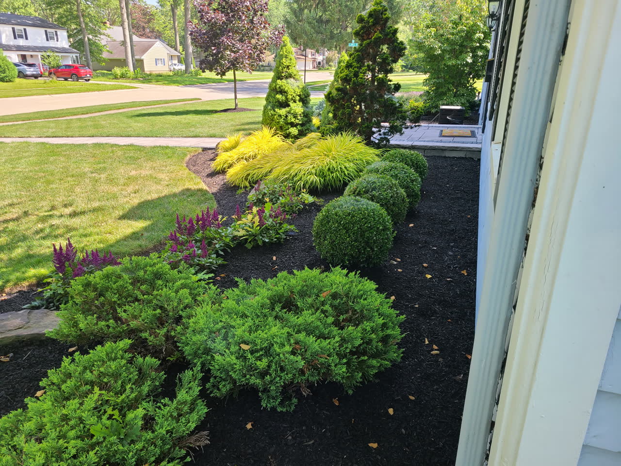 Foundation landscape bed with ornamental grasses and boxwoods installed by Brunner Landscape in Northeast Ohio