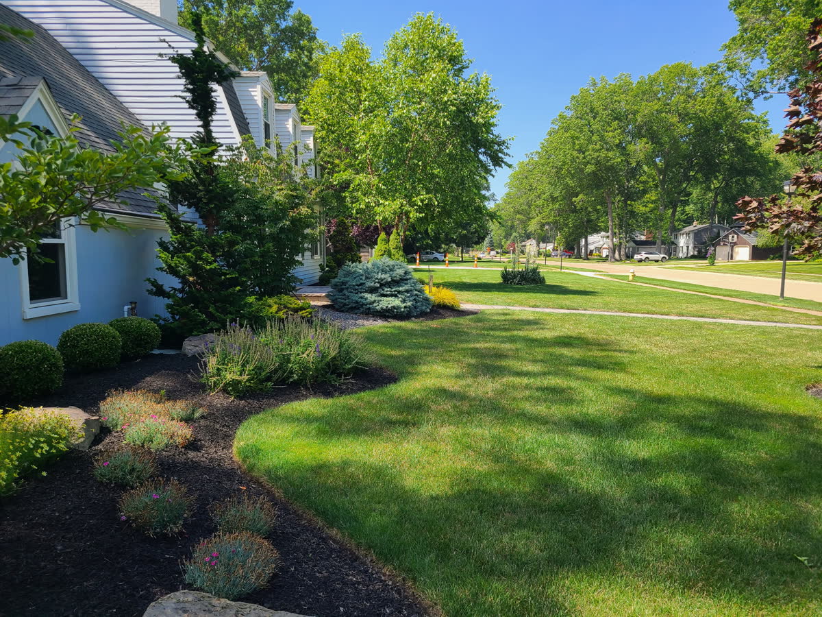 Healthy, lush green lawn following renovation services by Brunner Landscape in Northeast Ohio